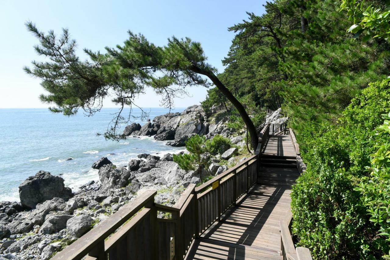 Glory Condo Haeundae 釜山広域市 エクステリア 写真